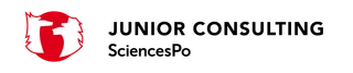 Junior Consulting Sciences Po